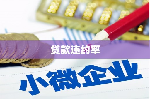 惠民贷款违约率
