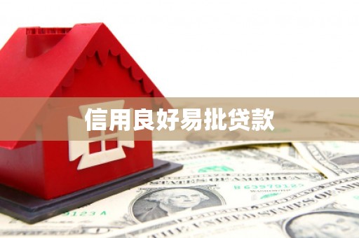 惠民信用良好易批贷款