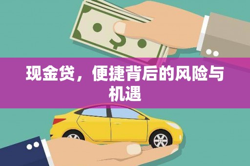 惠民现金贷，便捷背后的风险与机遇
