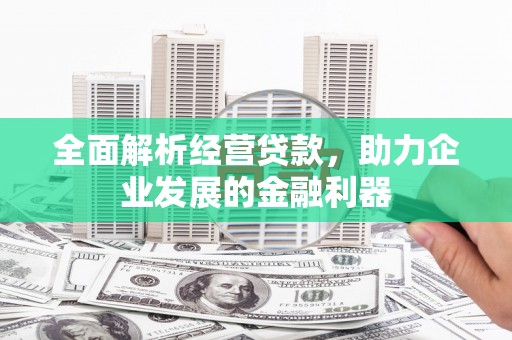 惠民全面解析经营贷款，助力企业发展的金融利器