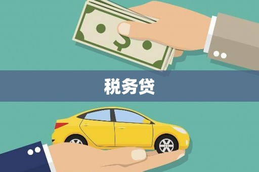 惠民税务贷