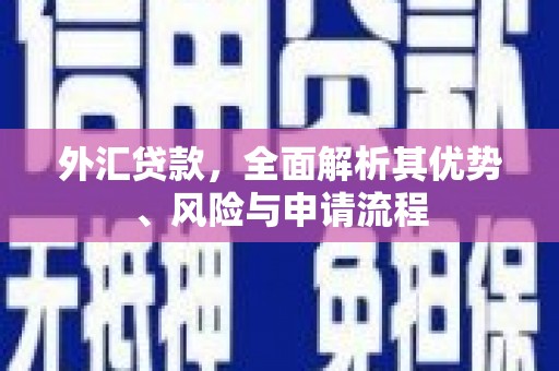 惠民外汇贷款，全面解析其优势、风险与申请流程