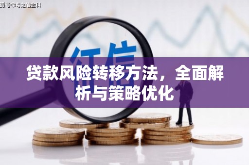 惠民贷款风险转移方法，全面解析与策略优化