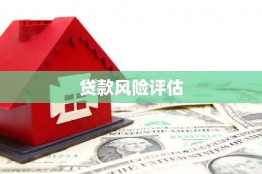 惠民贷款风险评估