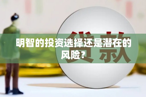 惠民明智的投资选择还是潜在的风险？