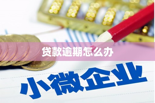 惠民贷款逾期怎么办