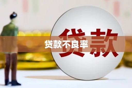 惠民贷款不良率