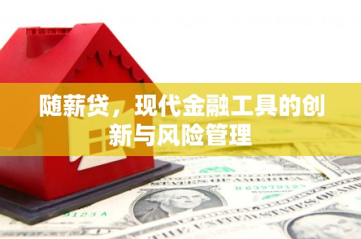 惠民随薪贷，现代金融工具的创新与风险管理