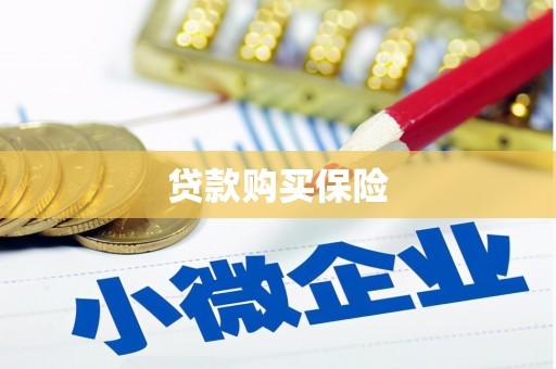 惠民贷款购买保险