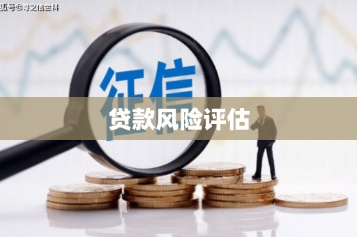 惠民贷款风险评估