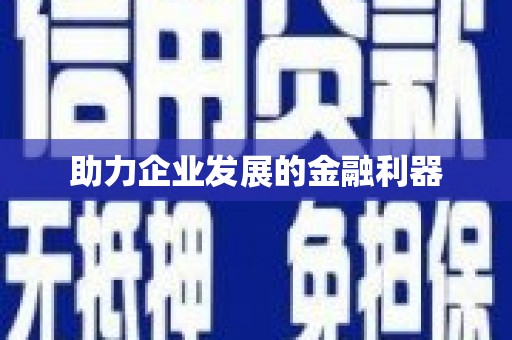 惠民助力企业发展的金融利器