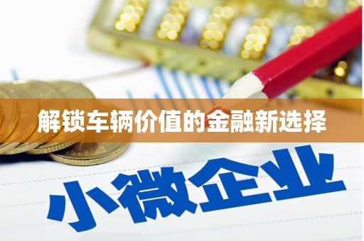 惠民解锁车辆价值的金融新选择