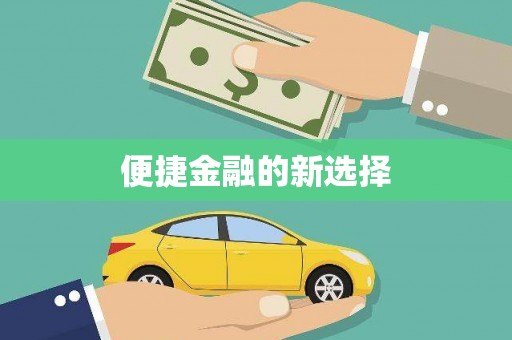 惠民便捷金融的新选择