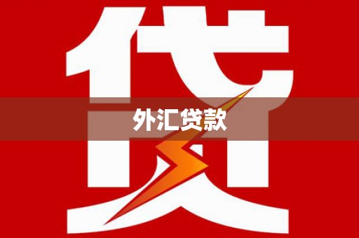 惠民外汇贷款