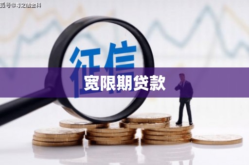 惠民宽限期贷款