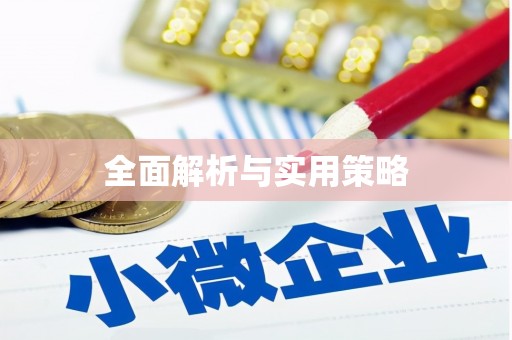 惠民全面解析与实用策略