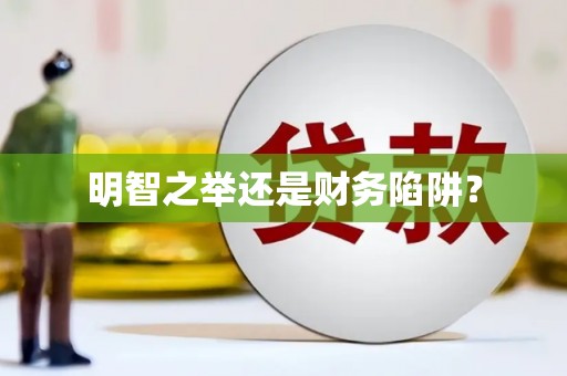 惠民明智之举还是财务陷阱？