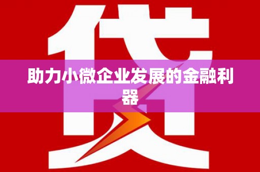 惠民助力小微企业发展的金融利器