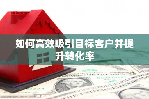 惠民如何高效吸引目标客户并提升转化率