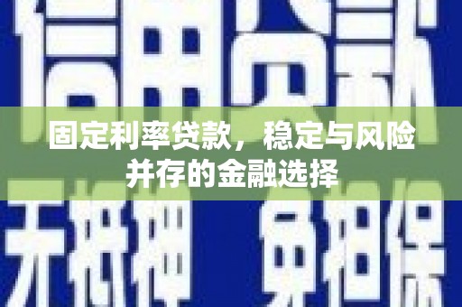 惠民固定利率贷款，稳定与风险并存的金融选择