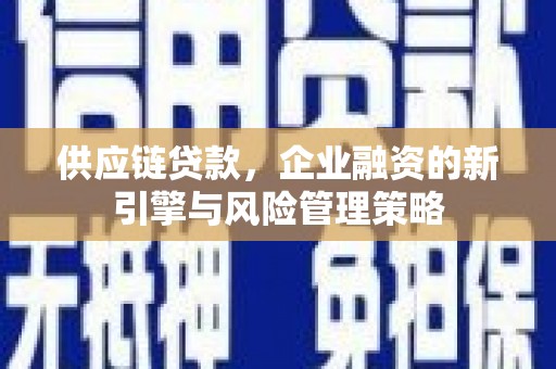 惠民供应链贷款，企业融资的新引擎与风险管理策略