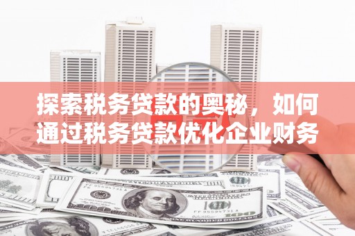 惠民探索税务贷款的奥秘，如何通过税务贷款优化企业财务