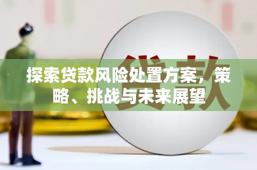 惠民探索贷款风险处置方案，策略、挑战与未来展望