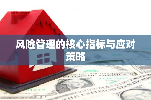 惠民风险管理的核心指标与应对策略
