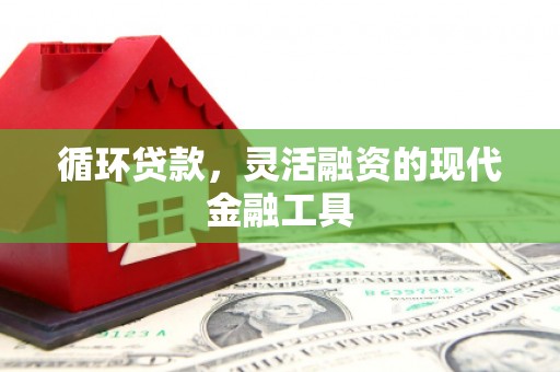 惠民循环贷款，灵活融资的现代金融工具