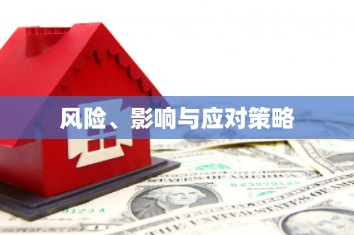 惠民风险、影响与应对策略