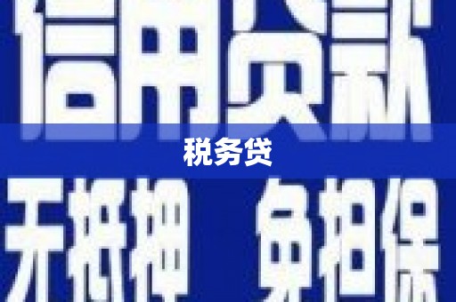 惠民税务贷