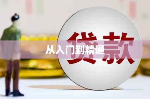惠民从入门到精通