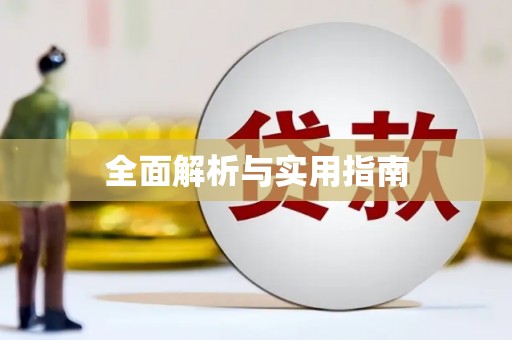 惠民全面解析与实用指南