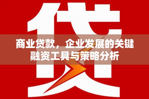 惠民商业贷款，企业发展的关键融资工具与策略分析