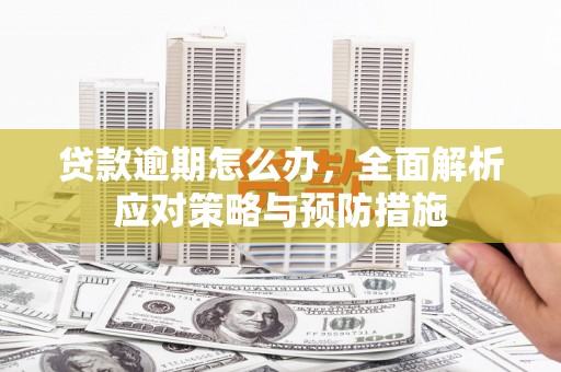 惠民贷款逾期怎么办，全面解析应对策略与预防措施