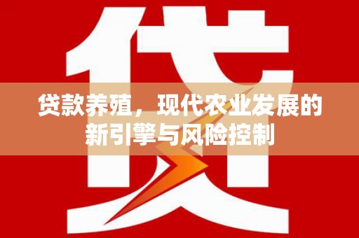 惠民贷款养殖，现代农业发展的新引擎与风险控制