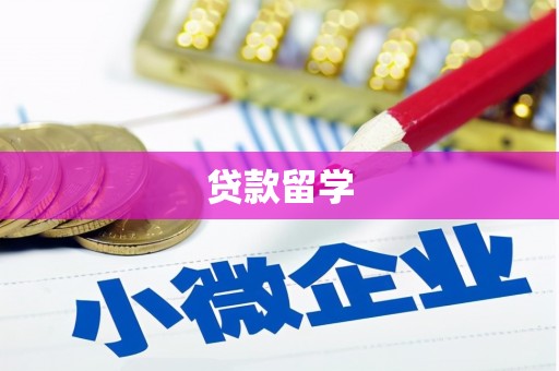 惠民贷款留学