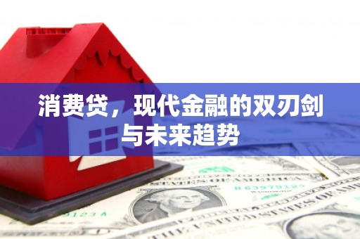 惠民消费贷，现代金融的双刃剑与未来趋势