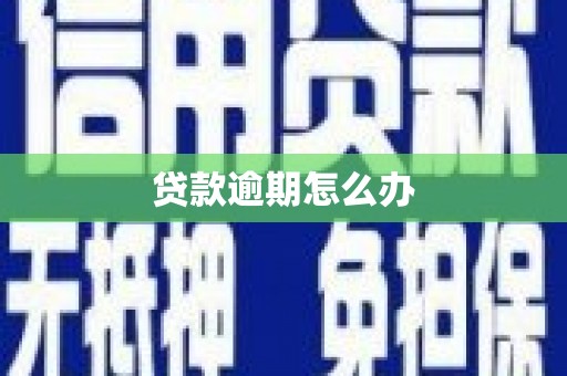 惠民贷款逾期怎么办