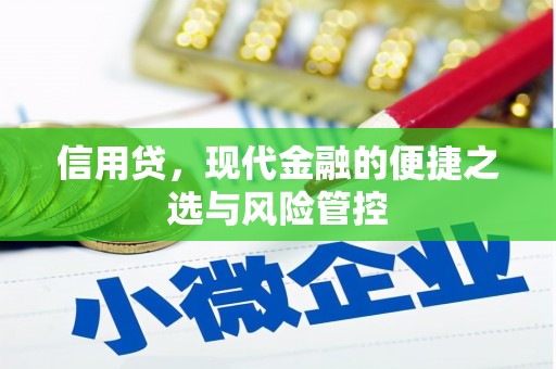 惠民信用贷，现代金融的便捷之选与风险管控
