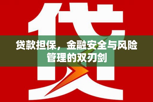 惠民贷款担保，金融安全与风险管理的双刃剑