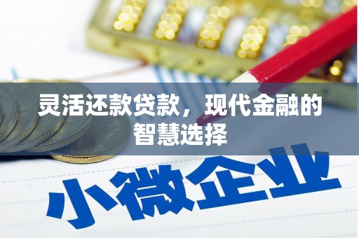 惠民灵活还款贷款，现代金融的智慧选择