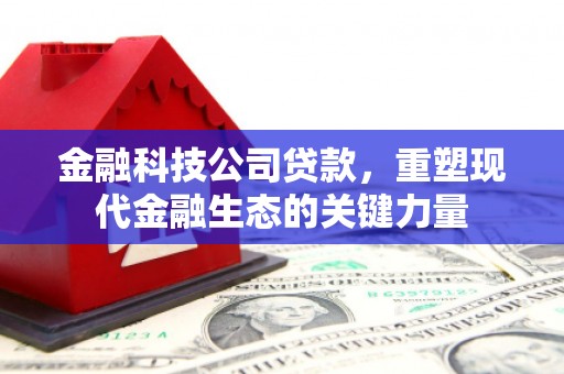 惠民金融科技公司贷款，重塑现代金融生态的关键力量