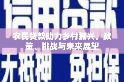 惠民农民贷款助力乡村振兴，政策、挑战与未来展望
