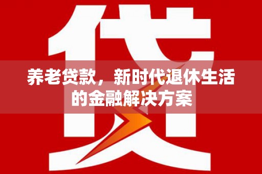 惠民养老贷款，新时代退休生活的金融解决方案