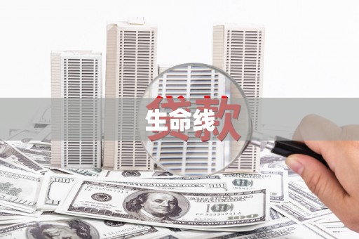 惠民生命线