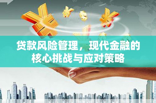 惠民贷款风险管理，现代金融的核心挑战与应对策略