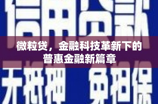 惠民微粒贷，金融科技革新下的普惠金融新篇章