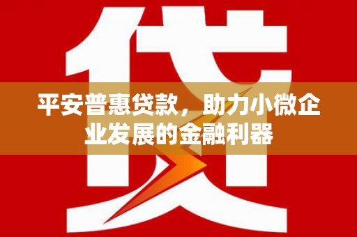 惠民平安普惠贷款，助力小微企业发展的金融利器