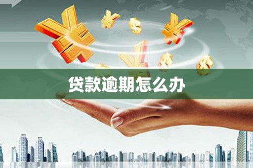 惠民贷款逾期怎么办